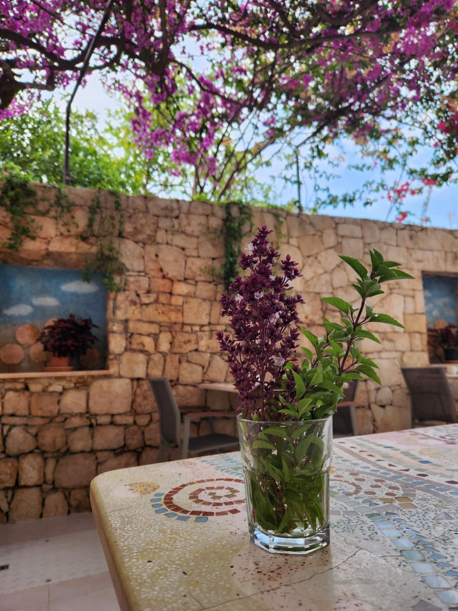 Hotel Begonvil Kaş Esterno foto